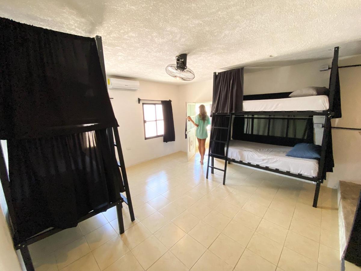 Hostel Oryx Valladolid Вальядолид Экстерьер фото